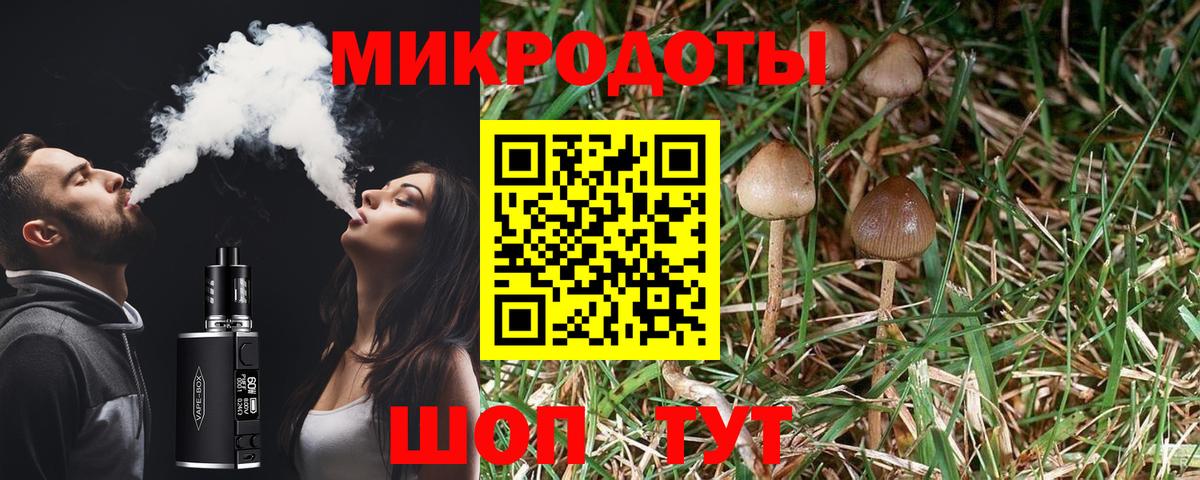 как найти   Вход с VPN  Галлюциногенные грибы Magic Shrooms  Баксан  Псилоцибиновые грибы прущие грибы 